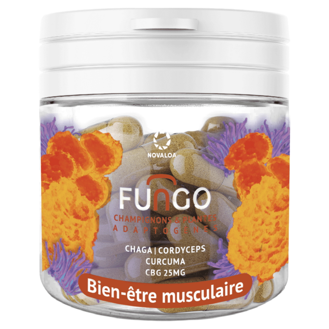 Gélules CBG – Bien-être musculaire Fungo